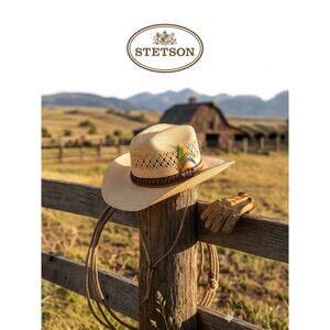 Stetson Roadrunner Straw Western Hat